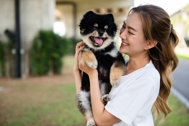 T-Shirt Printing Design Ideas For Pet Lovers To Consider